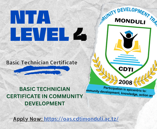 BASIC TECHNICIAN CERTIFICATE IN COMMUNITY DEVELOPMENT